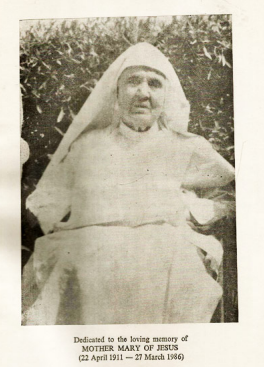 Image 29