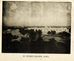 Image 43